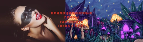 apvp Козловка