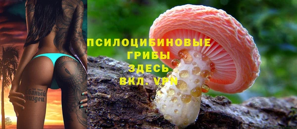 apvp Козловка