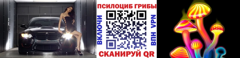 где можно купить   Снежногорск  Псилоцибиновые грибы Psilocybine cubensis 