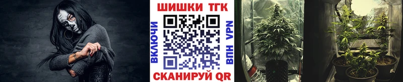 цены наркотик  Снежногорск  Канабис OG Kush 